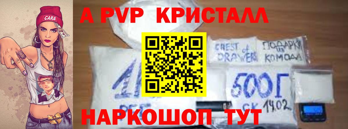 A PVP СК КРИС Сургут
