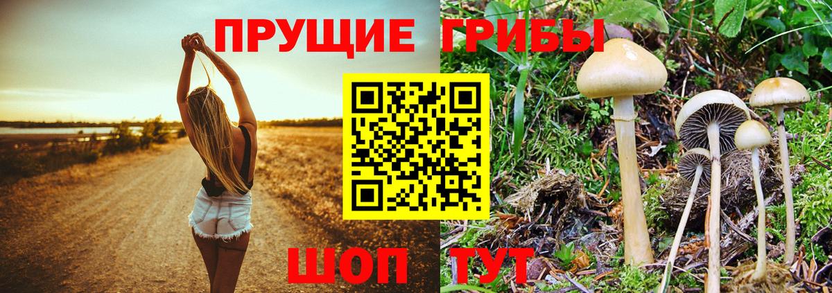 КОКАИН  Конопля  Альфа ПВП СК   НБОМе  Гашиш  Мефедрон кристаллы  Вход с VPN  Сургут  MDMA 